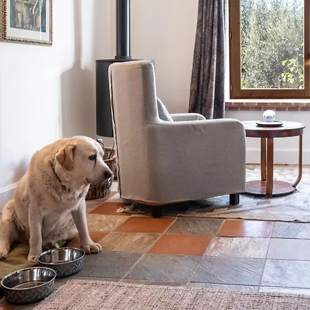 Hotel La Torre Del Visco - Relais & Chateaux Fuentespalda