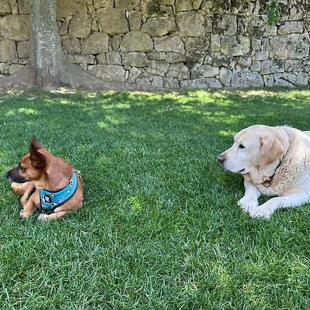 Hotel La Torre Del Visco - Relais & Chateaux Fuentespalda