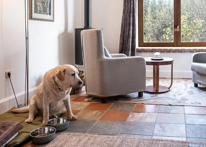 호텔 La Torre Del Visco - Relais & Chateaux Fuentespalda