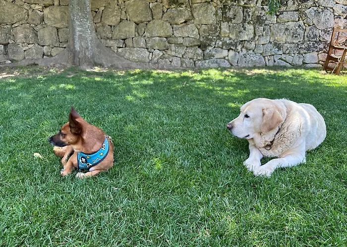 Hotel La Torre Del Visco - Relais & Chateaux Fuentespalda